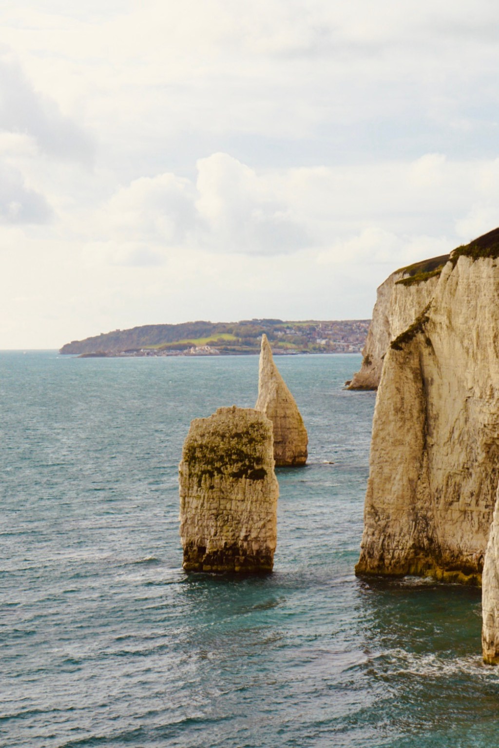 A sudden realisation connected my family’s story to David&nbsp;Attenborough